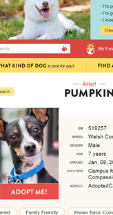 Bay Area Pet Fair - Website