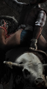 Bucking Bulls website design